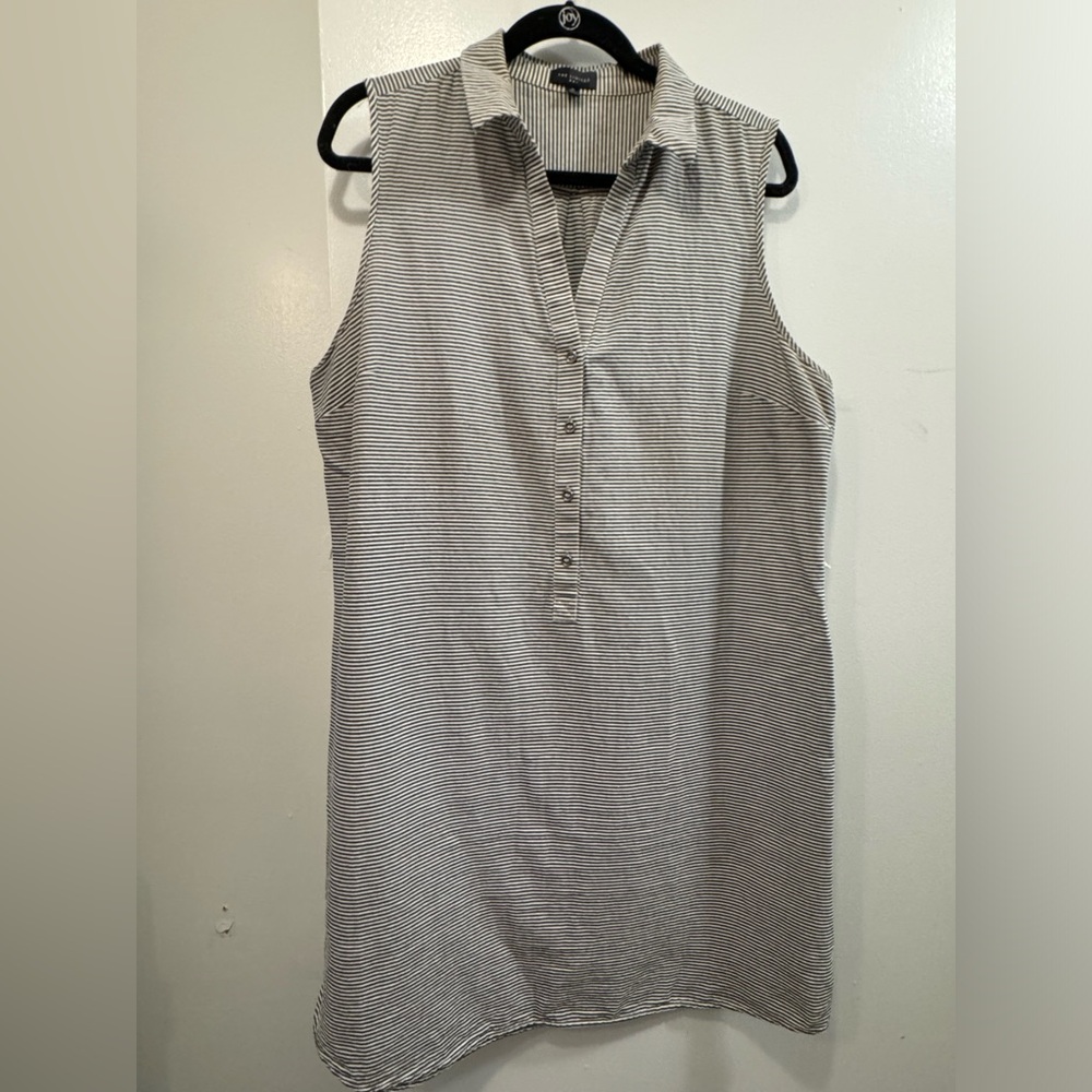 The Limited Striped Shirtdress
